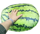 Giant Plush Watermelon 