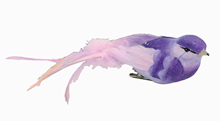 Bird with Clip - Purple 18cm