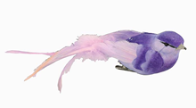 BIRD WITH CLIP - PURPLE - 18CM 