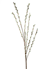 Pussy Willow Spray - 117cm 