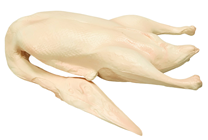 Artificial Raw Duck 