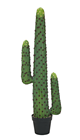 Mexican Cactus - 117cm 