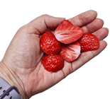 Fake Strawberry Halves - Pk.10 