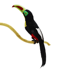 Toucan - Length of 55cm 