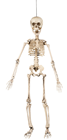 Poseable Skeleton - 50cm 