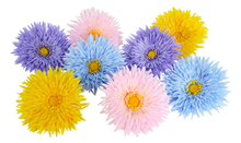 Large 17cm Double Gerbera Scatter Flowers - Pk.8