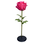 Giant Bright Pink Rose 