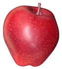Fake Red Delicious Apple 
