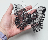 Selection of Butterflies & Birds 