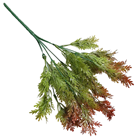 Green-Brown Seaweed Bush 