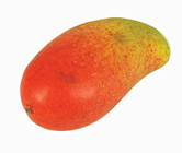 Replica Mango 