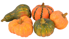 Selection of 5 Pumpkins and Gourds 