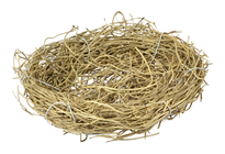 Birds Nest - 10cm