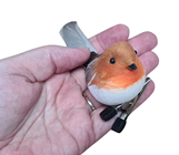 Robin with Clip 