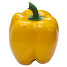 Yellow Bell Pepper 