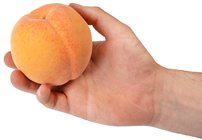 Lifelike Peach 