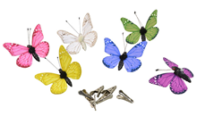 Coloured Butterflies with Magnet and Cli 