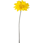 Yellow Gerbera 