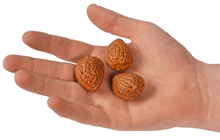 Fake Almond Nuts - Pk.20 