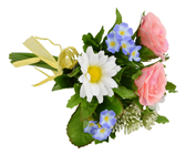 Pastel Flower Mix Posy - 23cm 