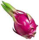 Artificial Dragon Fruit 