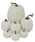 White Pumpkins - Pk.7 