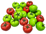 Large Mixed Tomatoes, Pk.21 - Seconds 