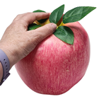 Giant Fake Apple - Slight Second 