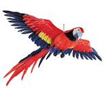 Parrot in Flight - 106 x 116cm 
