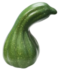Green Bottle Pumpkin Gourd 