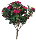 Cerise Azalea Flower Plant 