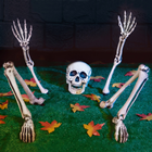 Groundbreaker Skeleton 