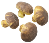 Large Mushrooms - Pk.4 