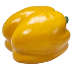 Yellow Bell Pepper 
