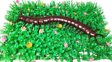 Giant Flexible Centipede 