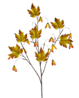 Maple Seed Spray - PACK of 12 