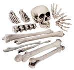 Skull & Bones Set - 12 Pieces 