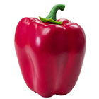 Red Bell Pepper 