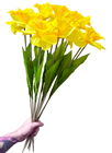 Bunch of 12 Fake Daffodils 