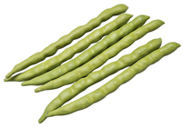 Light Green Beans - Pk.6 