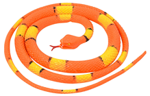 Orange Coiled Snake 