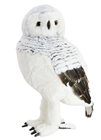 Winter Owl 