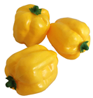 YELLOW PEPPER, PK.3 