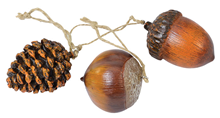 Acorn, Chestnut and Pine Cone Set