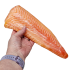 Salmon Tail Fillet 