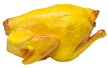 Fake Cantonese Roast Chicken - 20cm 