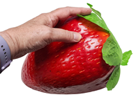 Giant Fake Strawberry 