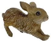 Running Baby Hare - Leveret 