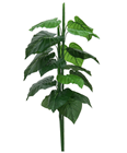 Large Leaved Evergreen Foliage Plant - 90cm