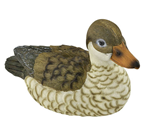 Female Duck 